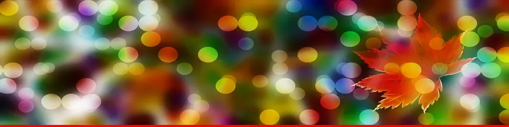 We Deliver Wellness & Performance Straight to Your Workplace